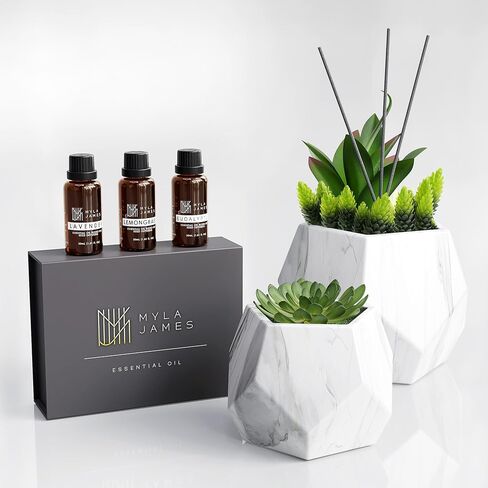 2in1 Reed Diffusers for Home & Faux Succulents Plants Artificial Set-Ceramic Potted Succulents x2 Pcs, Home Fragrance w/Lavender, Lemongrass, Eucalyptus Essential Oilx3 bottles 30ml with 9 Reed Sticks in Saudi Arabia