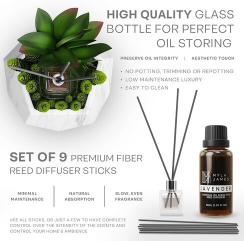 2in1 Reed Diffusers for Home & Faux Succulents Plants Artificial Set-Ceramic Potted Succulents x2 Pcs, Home Fragrance w/Lavender, Lemongrass, Eucalyptus Essential Oilx3 bottles 30ml with 9 Reed Sticks in Saudi Arabia
