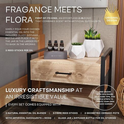 2in1 Reed Diffusers for Home & Faux Succulents Plants Artificial Set-Ceramic Potted Succulents x2 Pcs, Home Fragrance w/Lavender, Lemongrass, Eucalyptus Essential Oilx3 bottles 30ml with 9 Reed Sticks in Saudi Arabia