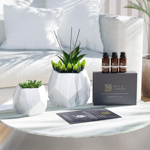 2in1 Reed Diffusers for Home & Faux Succulents Plants Artificial Set-Ceramic Potted Succulents x2 Pcs, Home Fragrance w/Lavender, Lemongrass, Eucalyptus Essential Oilx3 bottles 30ml with 9 Reed Sticks in Saudi Arabia