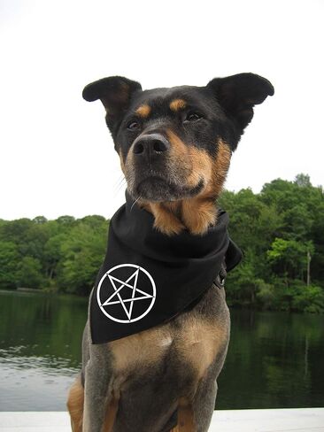 Pentacle Bandanna - Wiccan Wicca Pagan Gothic Goth Scefult Pentagram نجمة Wanderlust Witchcraft الروحية المقدسة الطبيعة المقدسة الرمز الكتاب الظلال الساحرة الوجه قناع رئيس وشاح in Kuwait