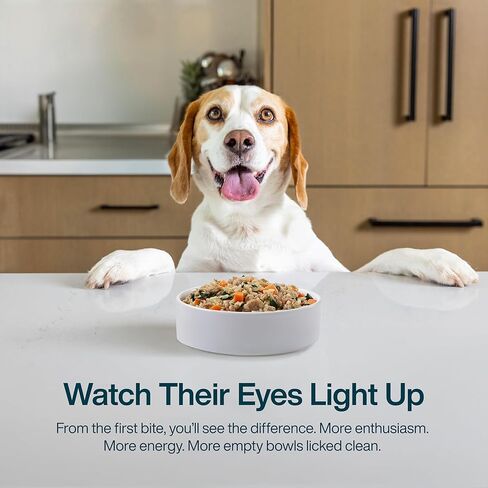 طعام الكلاب الطازج المجمد من JustFoodForDogs، وجبة كاملة أو طعام للكلاب، وصفة طعام للكلاب من الدجاج والأرز الأبيض، 18 أونصة (عبوة من 14 قطعة) in Kuwait