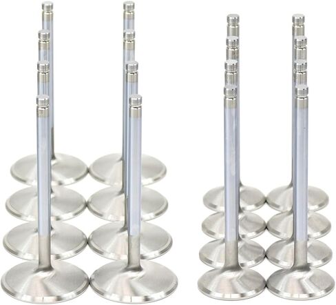 Michigan Motorsports 2.165"/1.59" High Performance Stainless Valve Kit -Fits L99 L76 L77 L92 LY6 L94 L9H L96 Rec Port LS Heads 821 823 5364 in Saudi Arabia