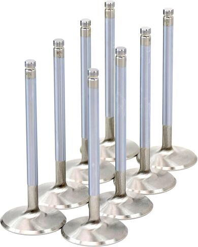 Michigan Motorsports 2.165"/1.59" High Performance Stainless Valve Kit -Fits L99 L76 L77 L92 LY6 L94 L9H L96 Rec Port LS Heads 821 823 5364 in Saudi Arabia