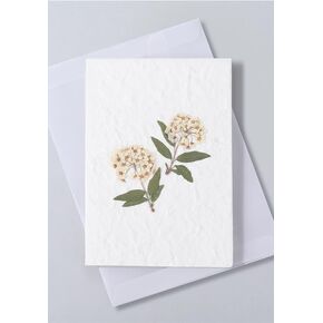 Larkspur Card | Real flowers notecard with handmade paper | Unique card | Birthday card | Greeting Card | Mother's Day Card | Pregnancy Announcement Card | Gift for Her (4 x 6 Inch Card with Envelope)