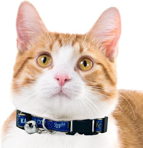 MLB CAT Collar Atlanta Braves Satin Cat Collar Baseball Team Collar for Dogs & Cats. A Shiny & Colorful Cat Collar with Ringing Bell Pendant in Saudi Arabia