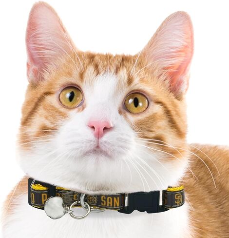 MLB CAT Collar Atlanta Braves Satin Cat Collar Baseball Team Collar for Dogs & Cats. A Shiny & Colorful Cat Collar with Ringing Bell Pendant in Saudi Arabia
