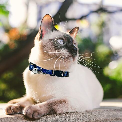 MLB CAT Collar Atlanta Braves Satin Cat Collar Baseball Team Collar for Dogs & Cats. A Shiny & Colorful Cat Collar with Ringing Bell Pendant in Saudi Arabia