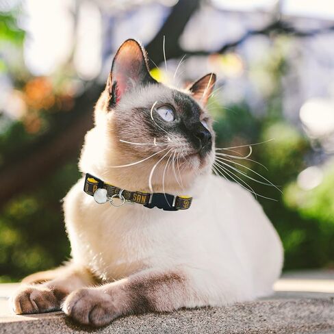MLB CAT Collar Atlanta Braves Satin Cat Collar Baseball Team Collar for Dogs & Cats. A Shiny & Colorful Cat Collar with Ringing Bell Pendant in Saudi Arabia