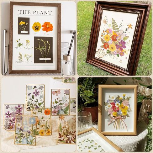 Blotting Paper for Flower Press, 20 Sheets Flower Press Paper Highly Absorbent and Reusable Blotter Paper for Flower Art A4 Size 8.26 x 11.4 inch in Saudi Arabia