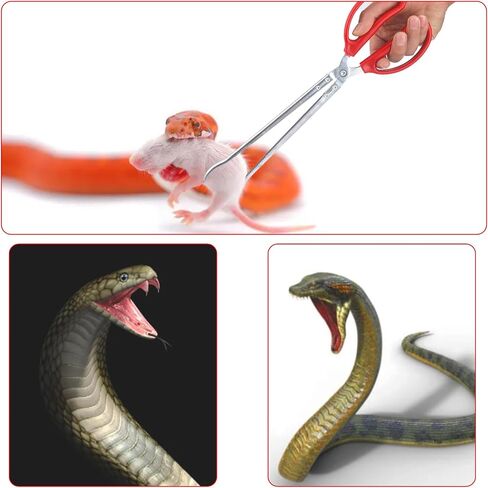15 Inch Reptile Feeding Tongs, Extra Long Large Snake Feeding Tweezers, Curved or Straight Design Heavy Duty Stainless Steel Feeding Tongs for Ball Python Accessories Aquascape Maintenance in Saudi Arabia