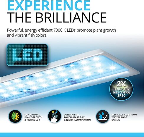 مجموعة حوض السمك فلوفال SPEC III، حوض السمك مع إضاءة LED ونظام ترشيح 3 مراحل، 2.6 جالون، أبيض، 10517A1 in Kuwait
