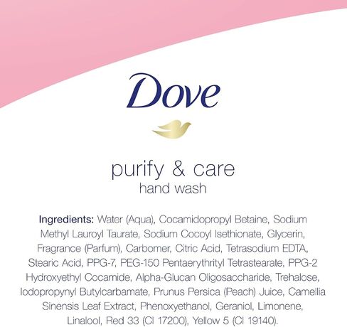 Dove Hand Wash Hygiene and Care For Hands White Peach and Tea Washes Away Bacteria and Locks In Moisture 18.5 oz 4 Count in Saudi Arabia