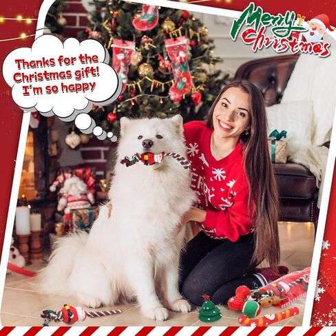 Shappy 5 Set Christmas Cat Toys Cat Christmas Stocking Toys Cat Stocking Stuffers Cat Gift for Christmas Interactive Pet Toys with Santa, Ball, Rope Chew Toys, Stocking Xmas Pet Toys Set in Saudi Arabia