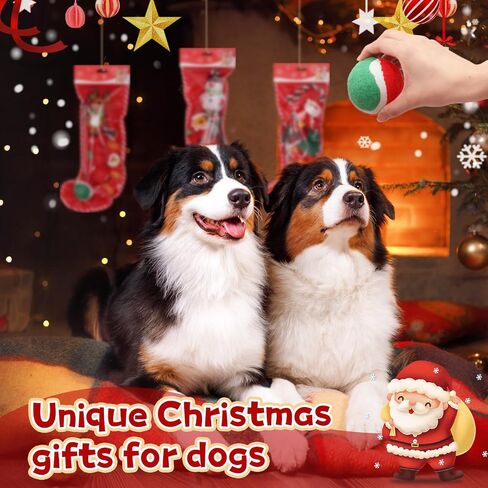 Shappy 5 Set Christmas Cat Toys Cat Christmas Stocking Toys Cat Stocking Stuffers Cat Gift for Christmas Interactive Pet Toys with Santa, Ball, Rope Chew Toys, Stocking Xmas Pet Toys Set in Saudi Arabia