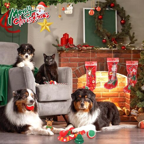 Shappy 5 Set Christmas Cat Toys Cat Christmas Stocking Toys Cat Stocking Stuffers Cat Gift for Christmas Interactive Pet Toys with Santa, Ball, Rope Chew Toys, Stocking Xmas Pet Toys Set in Saudi Arabia