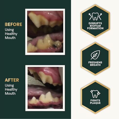 VETRISCIENCE Pro Perio Support Pro Dental Powder - Dogs + Cats, 16 oz in Saudi Arabia