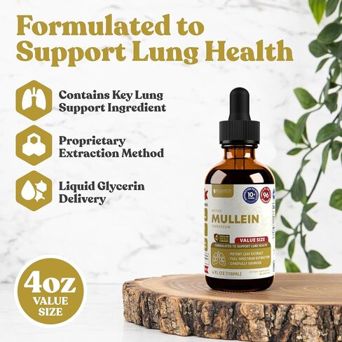 Rejuvica Health Active Mullein 4oz XL Super Size - مستخلص سائل Mullein المتقدم - قطرات دعم الرئة - صبغة خالية من السكر غير المعدلة وراثيًا in Kuwait
