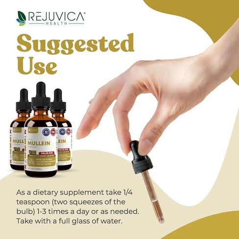 Rejuvica Health Active Mullein 4oz XL Super Size - مستخلص سائل Mullein المتقدم - قطرات دعم الرئة - صبغة خالية من السكر غير المعدلة وراثيًا in Kuwait