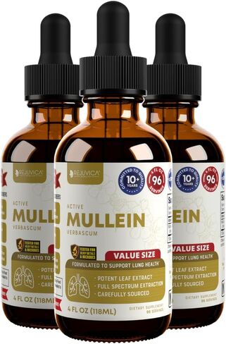 Rejuvica Health Active Mullein 4oz XL Super Size - مستخلص سائل Mullein المتقدم - قطرات دعم الرئة - صبغة خالية من السكر غير المعدلة وراثيًا in Saudi Arabia