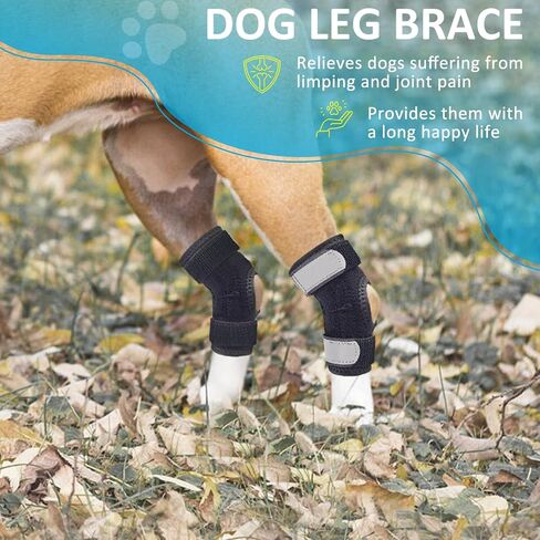 Dog Leg Braces for Rear Legs, Hock Brace for Back Legs with Metal Strips and Safety Reflective Straps for Short Legs, Joint Warps Support for Hind Legs Injuries Sprains Arthritis (XSmall) in Saudi Arabia