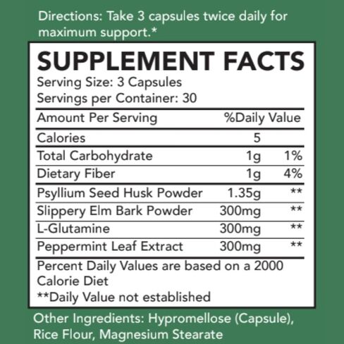 Digestive Support Supplement – Psyllium Husk, Slippery Elm, Peppermint Extract & L-Glutamine – Gut Health, Bloating & Constipation Support, Intestinal Lining & Bowel Function in Saudi Arabia