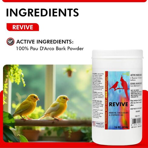 Morning Bird Revive, 1 oz in Saudi Arabia