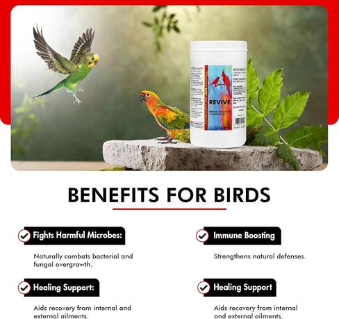 Morning Bird Revive, 1 oz in Saudi Arabia