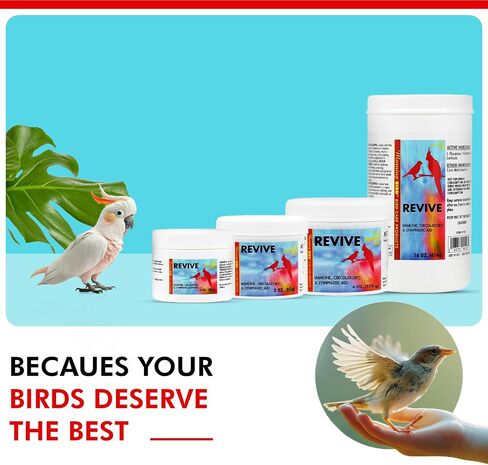 Morning Bird Revive, 1 oz in Saudi Arabia