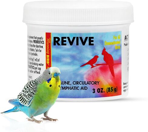 Morning Bird Revive, 1 oz in Saudi Arabia