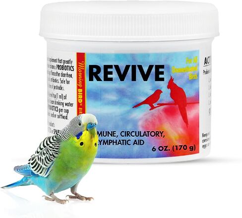Morning Bird Revive, 1 oz in Saudi Arabia