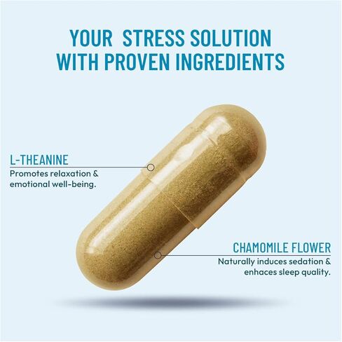 Stress Relief Supplement - Supports Mood & Mental Focus - Feel Calm and Relaxed - Eases Tension & Nervousness - Ashwagandha, GABA, Valerian & L-Theanine - 60 Capsules in Saudi Arabia