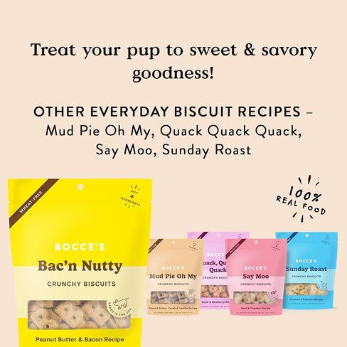 Bocce's Bakery Birthday Cake Bundle for Dogs - Special Edition Wheat-Free Dog Treats, Made with Real Ingredients, Baked in The USA, All-Natural Peanut Butter Vanilla Biscuits, 5 oz (Pack of 3) in Saudi Arabia