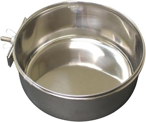 QT Dog - Coop Cup w/Clamp - 10 oz - 4 Pack in Saudi Arabia