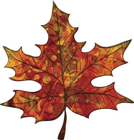 Magnet Pretty Fall Autumn Pumpkin Colored Maple Leaf Magnetic Vinyl Magnet Bumper Sticker (4" Wide) in Saudi Arabia