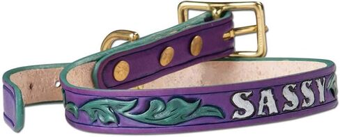 Large 1" Dog Collar Kit Tandy Leather 44707-03 in Saudi Arabia
