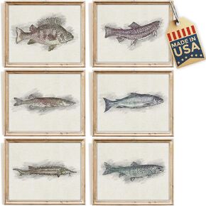 Vintage Fly Fishing Art Prints (Set of 4) - Unframed - 8x10 | Great Gift for Fisherman - Reproductions of Vintage Fishing Lure Drawings - Rustic Decor in Kuwait