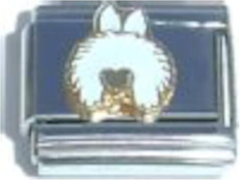 أرنب السحر الإيطالي in Saudi Arabia