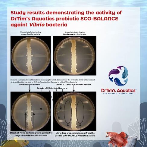 التوازن البيئي للمياه المالحة المائية من دكتورتيم، 8 أونصة in Kuwait