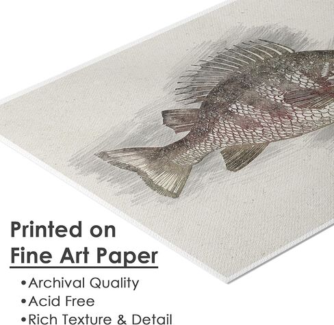 Vintage Fly Fishing Art Prints (Set of 4) - Unframed - 8x10 | Great Gift for Fisherman - Reproductions of Vintage Fishing Lure Drawings - Rustic Decor in Kuwait