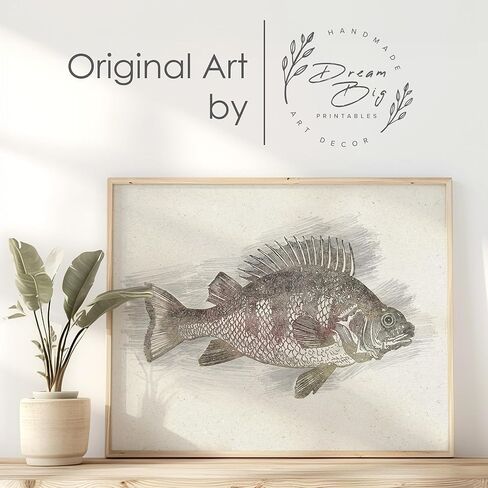 Vintage Fly Fishing Art Prints (Set of 4) - Unframed - 8x10 | Great Gift for Fisherman - Reproductions of Vintage Fishing Lure Drawings - Rustic Decor in Kuwait