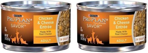 Purina Pro Plan Canned Adult Chicken Cheese Food In Gravy, 3 Oz. in Saudi Arabia