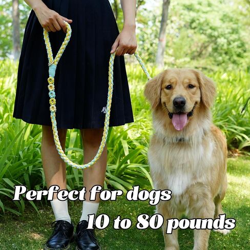 Handmade 5ft Braided Cotton Dog Leash with Unique Floral Handle, Durable and Stylish, Ideal for Small to Large Dogs, Rainbow Color in Kuwait