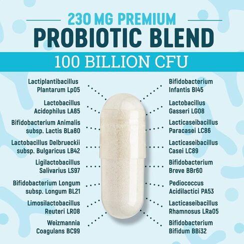 Nature's Physician Probiotics - 100 Billion CFU - 16 Strains + Prebiotics - Best Probiotic Supplement for Women & Men - Supports Immune, Digestive Health, Occasional Constipation & Gas - 60 Capsules in Saudi Arabia