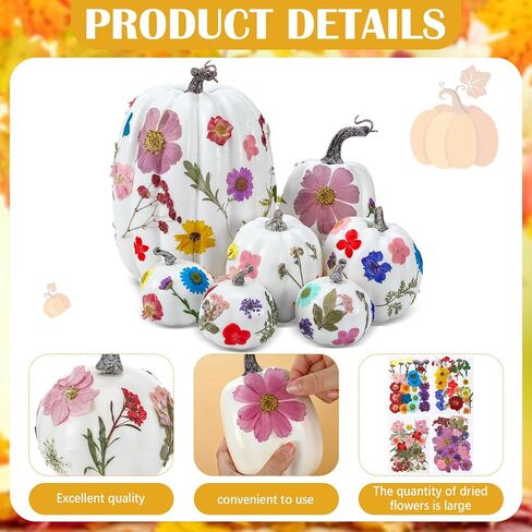 Nuanchu 107ps DIY Halloween Fall Foam Pumpkin for Craft Kit 7 PCS Foam Foam Pumpkins 100 PCS Faux Faux Dray Flowers for Girl Night Craft Craft Craft Bookclub Home Decor in Saudi Arabia