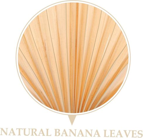 ALIPIS RETRO PALL LEAF FAN المصنوعة يدويًا الصيف مروحة تبريد للبالغين الأولاد والبنات لحفلات الشاطئ ديكور in Kuwait