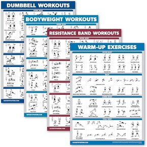 Palace Learning 4 Pack - Dumbbell Workouts + Bodyweight Exercises + Resistance Bands Workouts + Warm Up Exercises - Set of 4 Workout Charts (LAMINATED, 18" x 24")