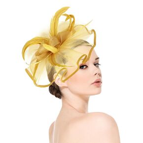 dressfan Womens Fascinator Hat Headpiece Vintage 20s 50s Accessories Headband for Kentucky Derby/Wedding/Cocktail/Tea Party