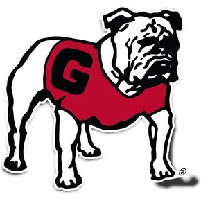 Desert Cactus University of Georgia Bulldogs UGA Dawgs Vinyl Decal Laptop Water Bottle Car Scrapbook Sticker (IND 38)