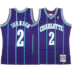 Larry Johnson Charlotte Hornets Alternate 1994-95 Men's Swingman Jersey